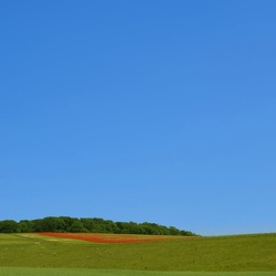Devon and Dorset