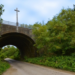 Surrey
